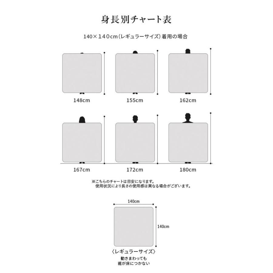 日本製 電気毛布 ブランケット 北欧 とろけるフランネル 着る電気毛布