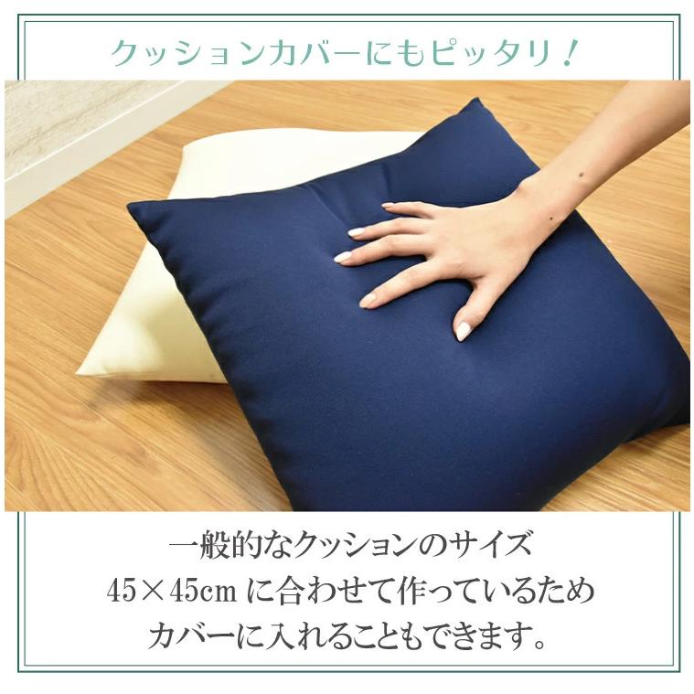 日本製 補充用ビーズクッション 2個セット ビーズクッション 500g 63kg