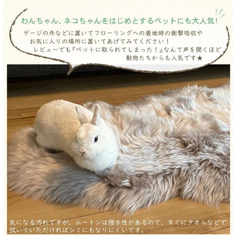 ムートンラグ 2匹サイズ ニュージーランド産 長毛 ムートン ラグ ムートンラグ 2匹サイズ ニュージーランド産 長毛 ムートン ラグ