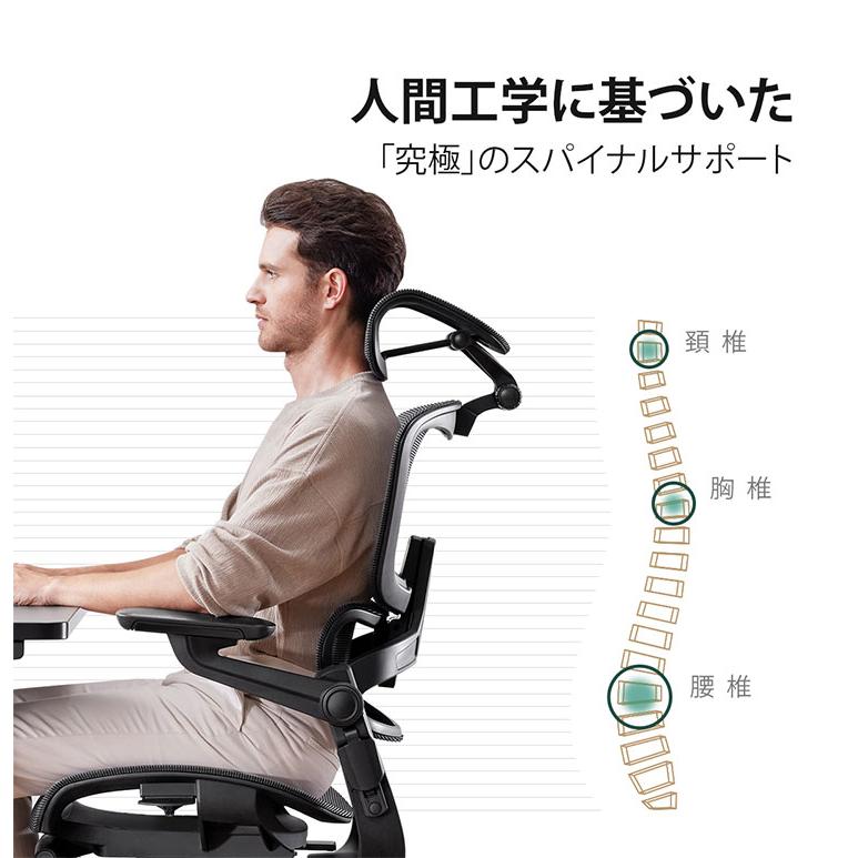 HINOMI H1 PRO V2-M Mサイズ エルゴノミクスチェア Ergonomics CHAIR 