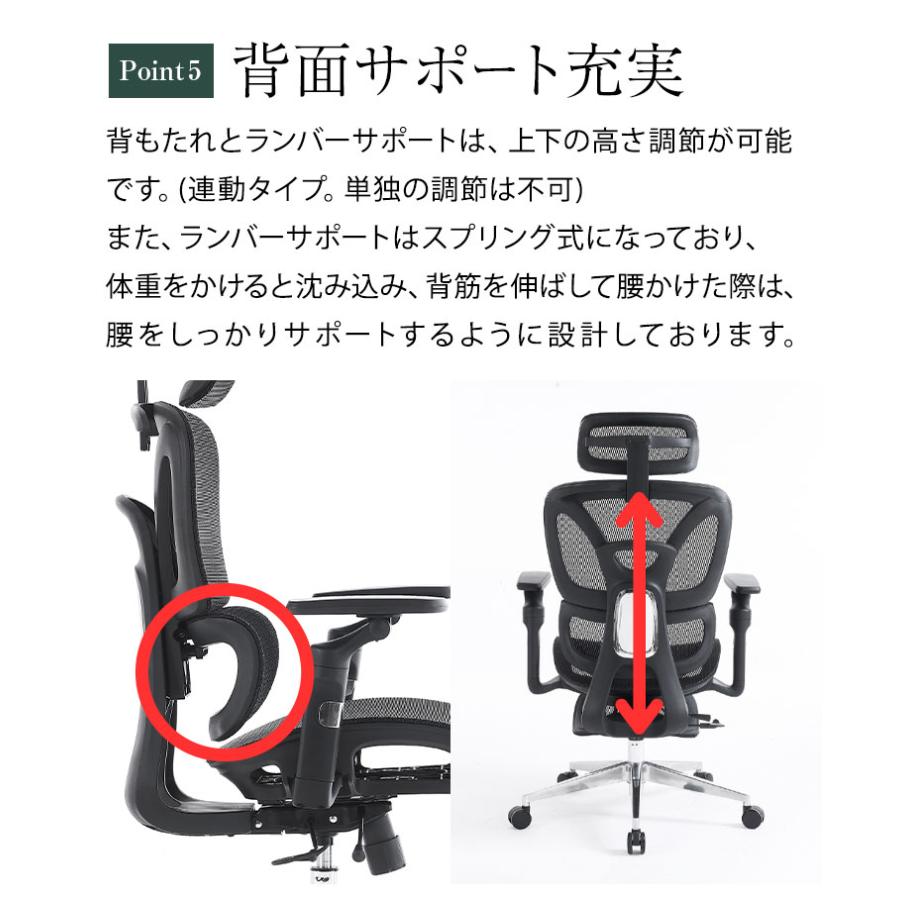 アップサイド ドゥ ソラリス プロ エルゴノミクスチェア