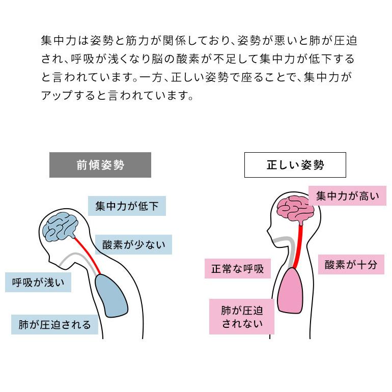 学習椅子 プロポーションチェア CH-N889CK ホワイト脚 ライト