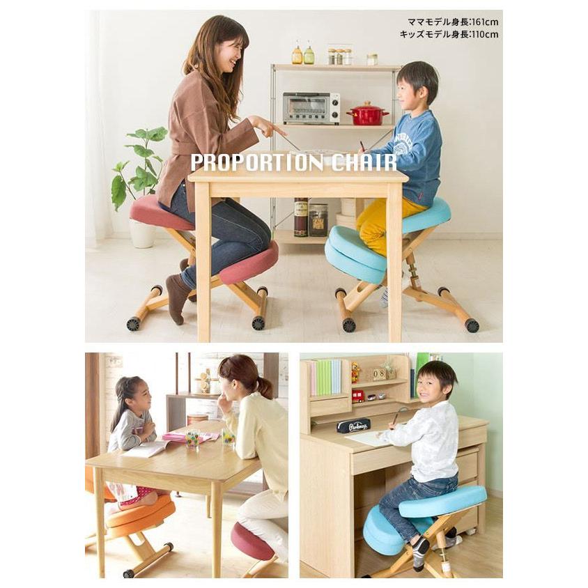 プロポーションチェア専用 補助クッション 本体別売り 学習