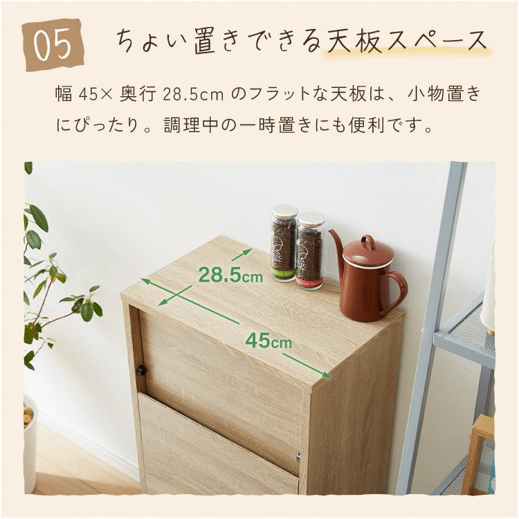 ゴミ箱 扉付き プッシュ式 45L おしゃれ ダストボックス キャスター