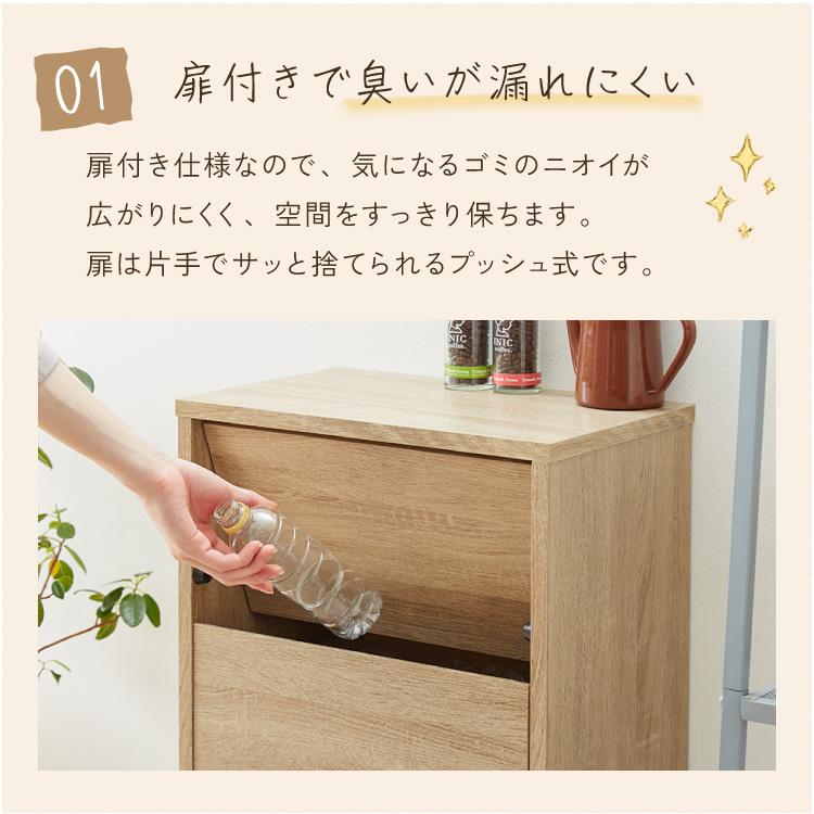 ゴミ箱 扉付き プッシュ式 45L おしゃれ ダストボックス キャスター