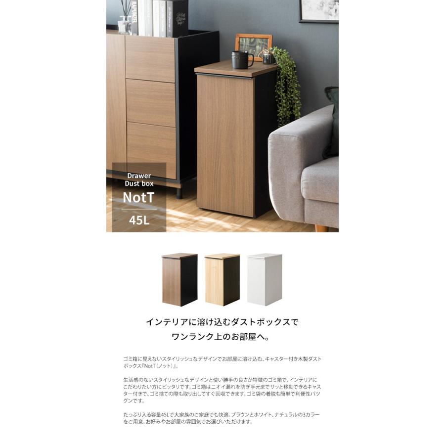 ドロワーダストボックス ゴミ箱 おしゃれ 分別 縦型 スリム 45L