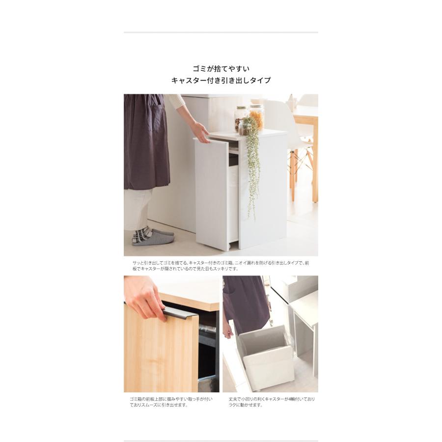 ドロワーダストボックス ゴミ箱 おしゃれ 分別 縦型 スリム 45L