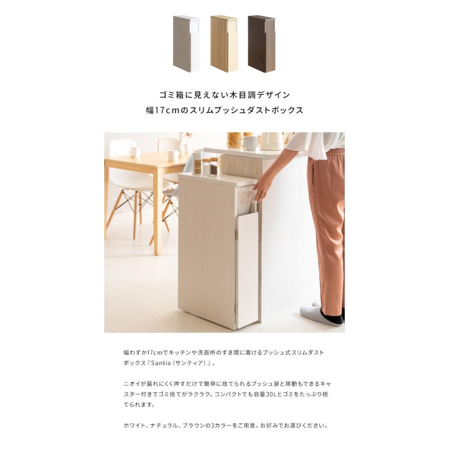ゴミ箱 スリムダストボックス 幅17cm Santia サンティア プッシュ式 30