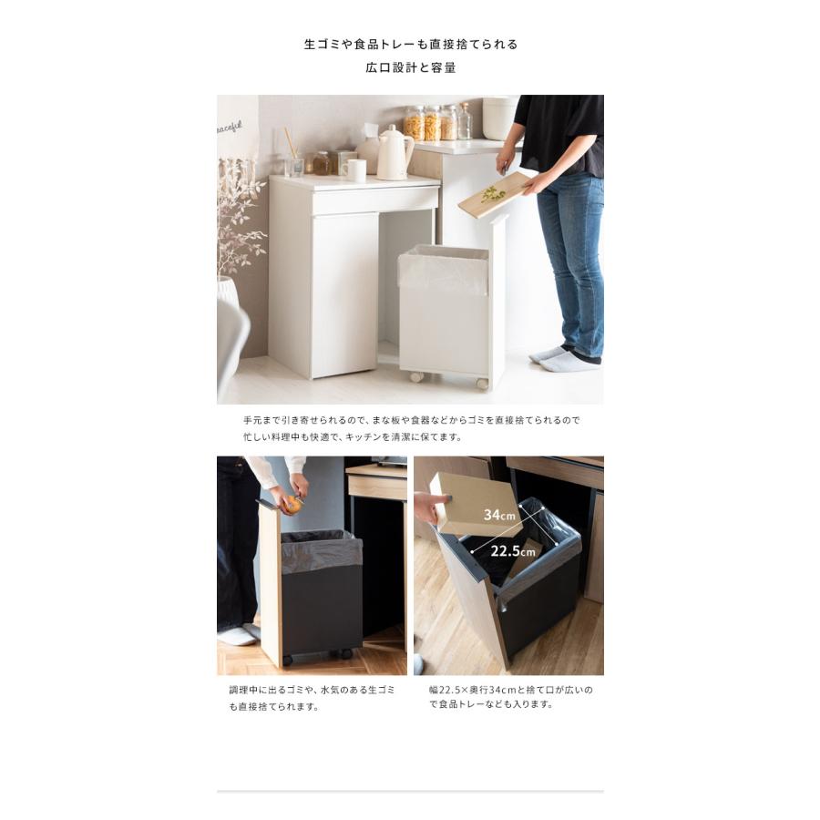 ゴミ箱 分別ドロワーボックス NotT ノット 45リットル×2 引き出し付き