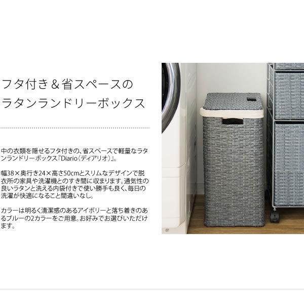 ラタン調 ランドリーボックス Diario ディアリオ 蓋つき 幅38cm フタ
