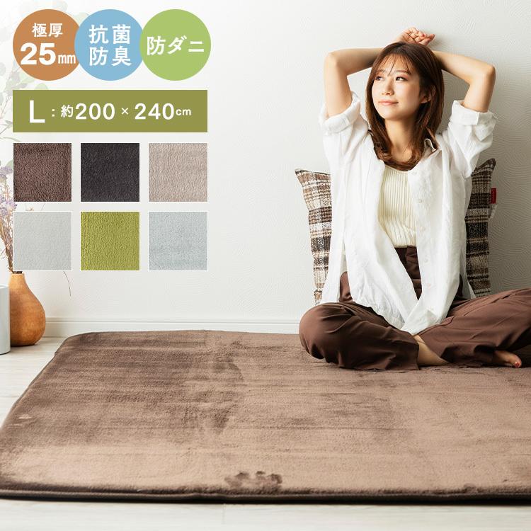 洗える オールシーズン 極厚ラグ 200×240 3畳 厚み25mm 防ダニ 抗菌