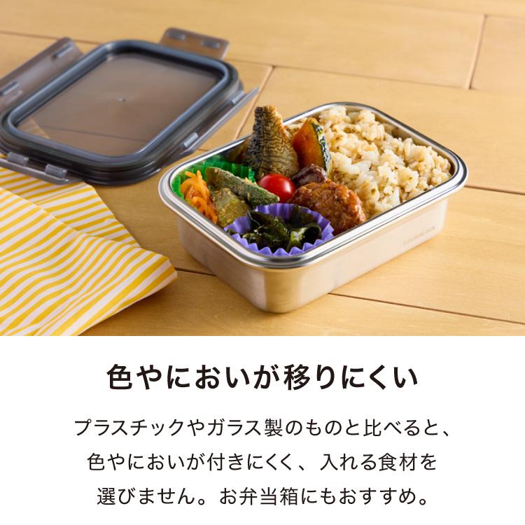 2個セット 電子レンジ対応 ステンレス 保存容器 深型 500ml 食洗機対応