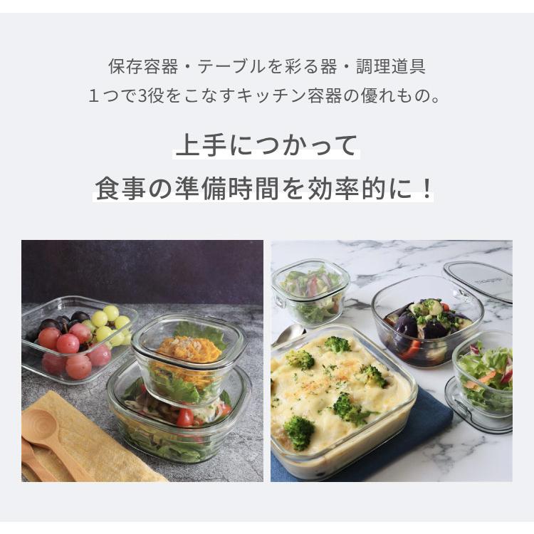 iwaki イワキ 新色 耐熱ガラス保存容器 4点セット パックアンドレンジ