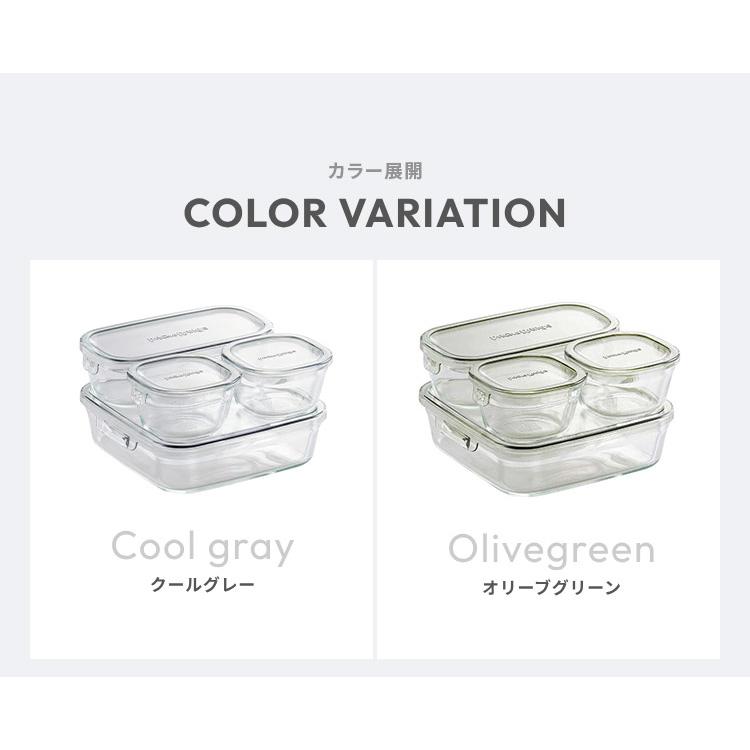 iwaki イワキ 新色 耐熱ガラス保存容器 4点セット パックアンドレンジ
