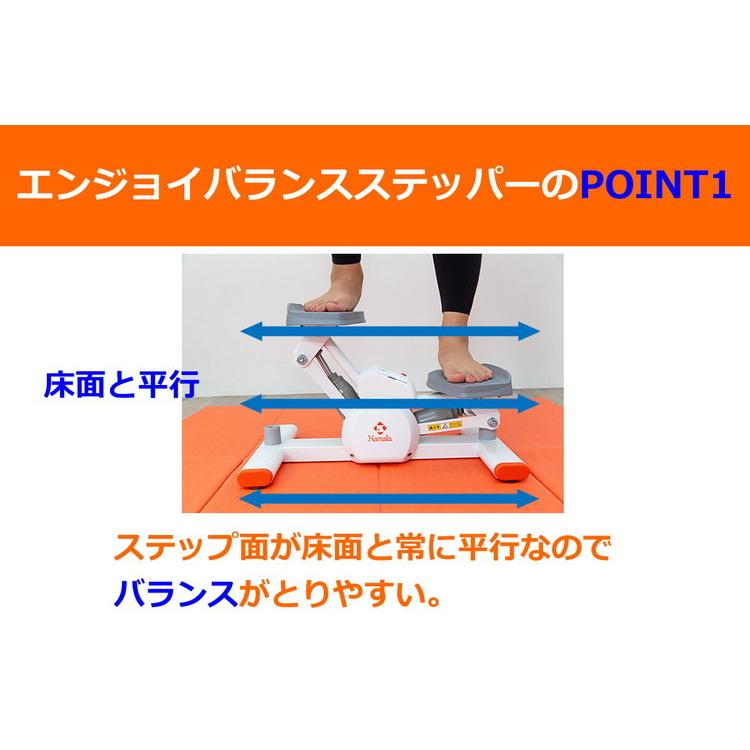 NAMALA エンジョイバランスステッパー ヨガ ストレッチ エクササイズ 体操 運動 スポーツ ヨーガ ピラティス 初心者 瞑想 ビギナー おしゃれ 体操 代引不可の画像