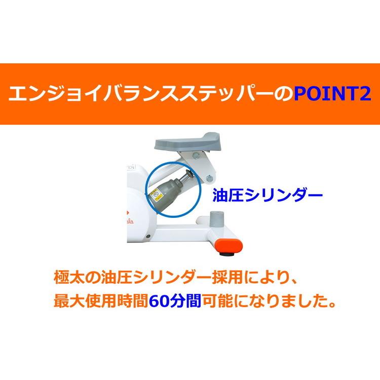 NAMALA エンジョイバランスステッパー ヨガ ストレッチ エクササイズ 体操 運動 スポーツ ヨーガ ピラティス 初心者 瞑想 ビギナー おしゃれ 体操 代引不可の画像