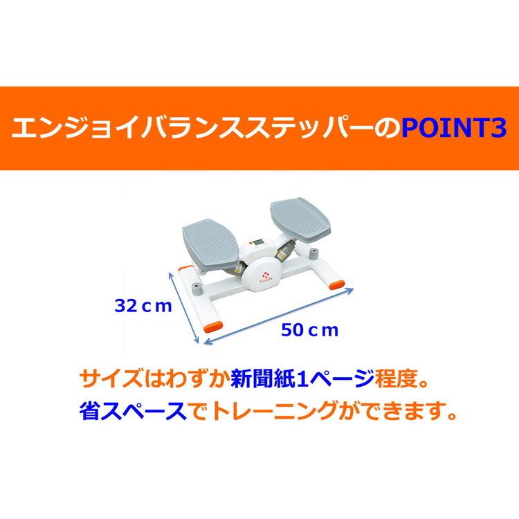 NAMALA エンジョイバランスステッパー ヨガ ストレッチ エクササイズ 体操 運動 スポーツ ヨーガ ピラティス 初心者 瞑想 ビギナー おしゃれ 体操 代引不可の画像
