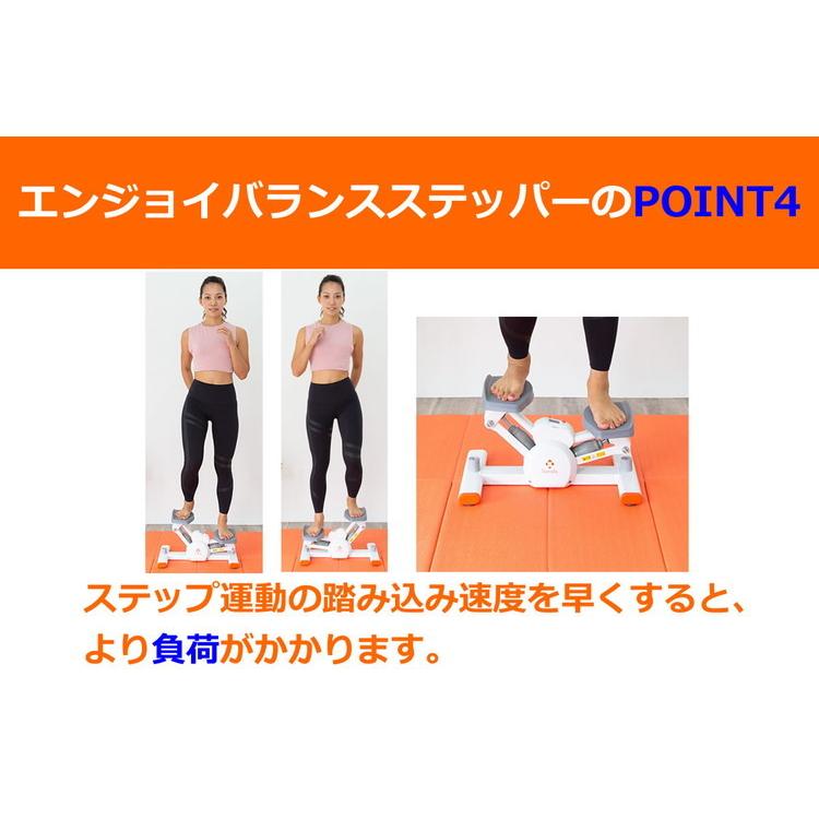 NAMALA エンジョイバランスステッパー ヨガ ストレッチ エクササイズ 体操 運動 スポーツ ヨーガ ピラティス 初心者 瞑想 ビギナー おしゃれ 体操 代引不可の画像