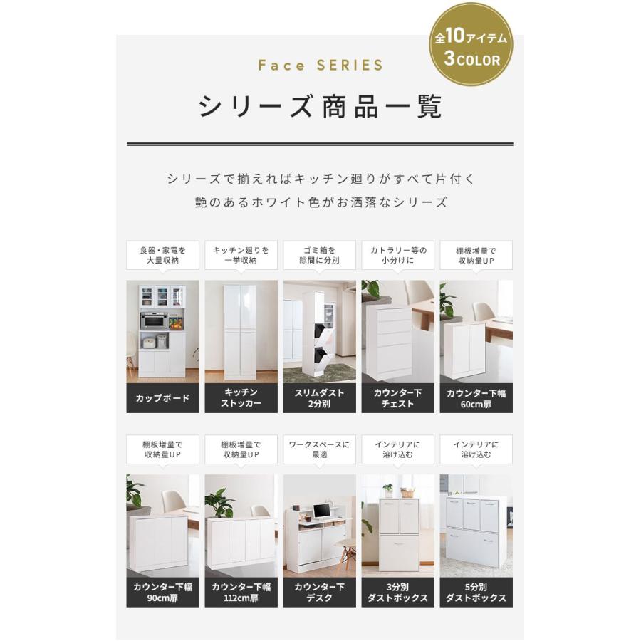 Face ダストボックス 28L 幅25cm スリム 2分割 分別 フラップ式 可動棚