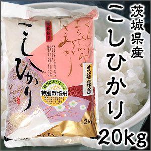 米 日本米 令和5年度産 宮城県産 ササニシキ 15kg ご注文をいただいてから精米します。 精米無料 特別栽培米 ささにしき 新米 代引不可｜recommendo