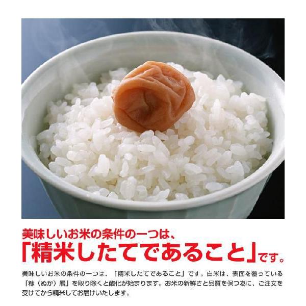 米 日本米 令和5年度産 北海道産 ゆめぴりか 60％ & 福井県産 ミルキークイーン 40％ ブレンド米 2kg ご注文をいただいてから精米します。 代引不可｜recommendo｜02