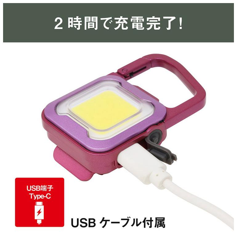 ムサシ 充電式 ぴかり MINI LIGHT 本気の明るさ 大光量ライト600lm USB