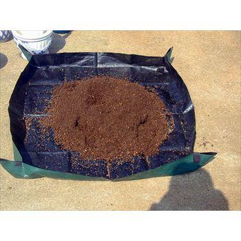 ローターシープ