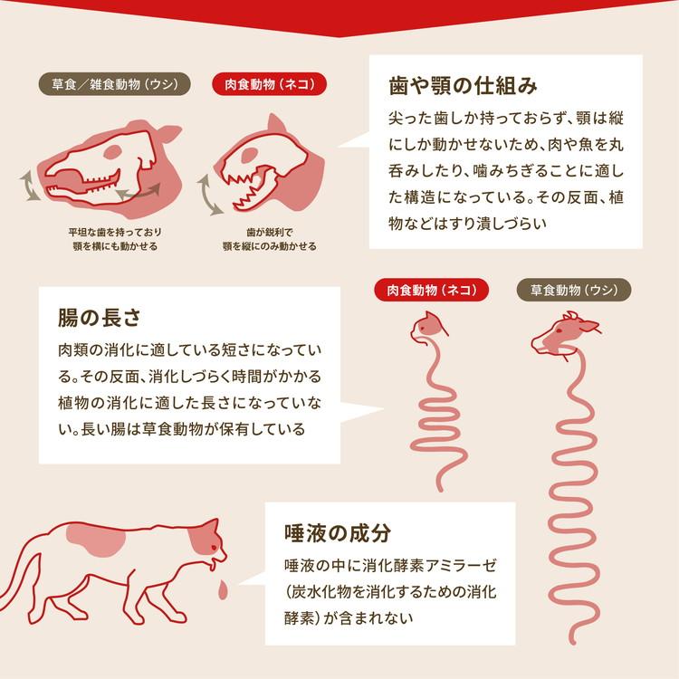 アカナ シニアレシピ 11.4kg ACANA 犬用 いぬ用 フード ドッグフード ペットフード｜recommendo｜07