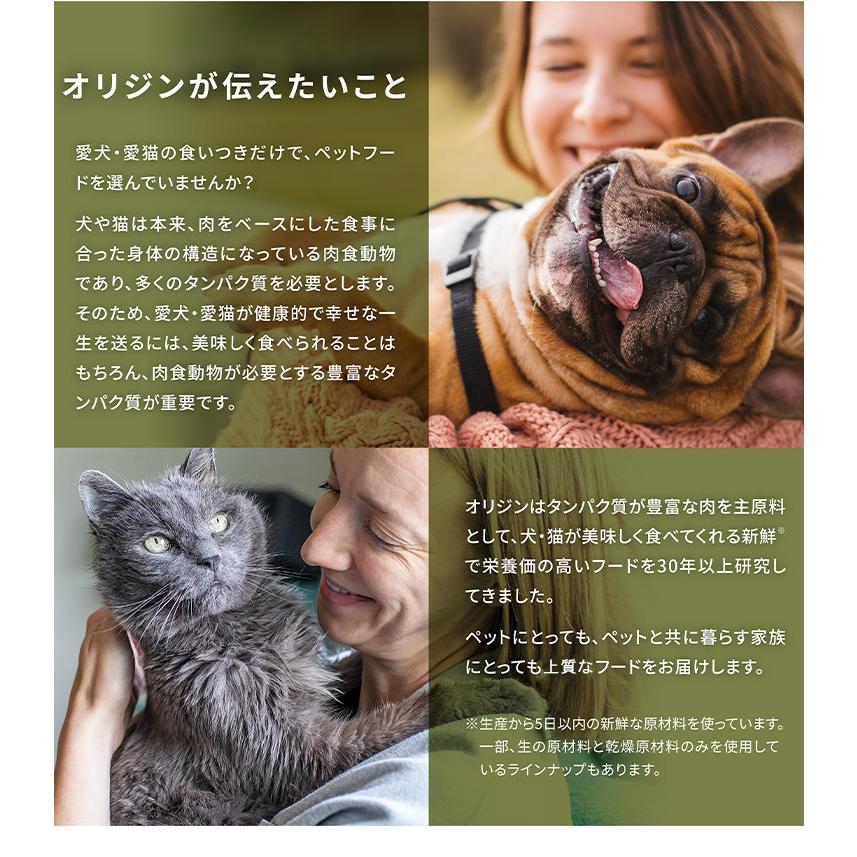 2個セット オリジン オリジナルキャット 5.4kg x2 10.8kg ドライフード キャットフード 猫用 フード ORIJIN_2