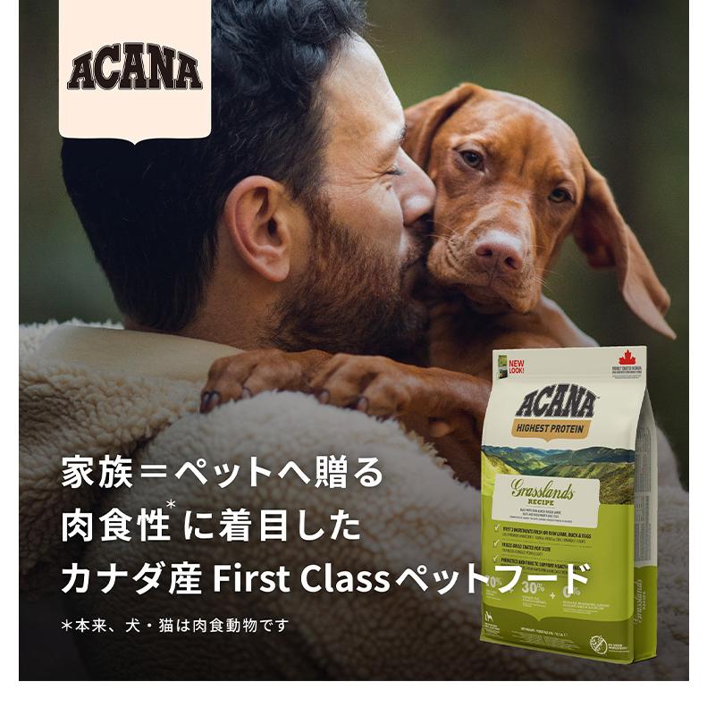 2個セット アカナ シニアレシピ 2kg x2 4kg ドライフード ドッグフード