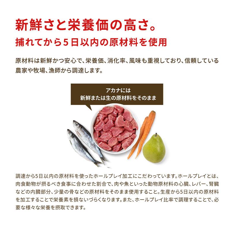 2個セット アカナ アダルトスモールブリードレシピ 6kg x2 12kg