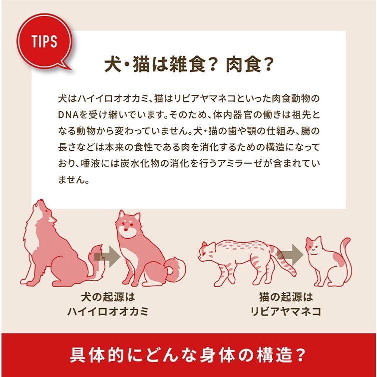 2個セット オリジン ガーディアン8 4.5kg x2 9kg ドライフード キャットフード 猫用 フード ORIJIN_3