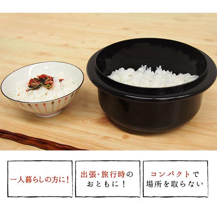 圧力弁でおいしく炊ける 電子レンジ用炊飯器 0.5合~2合炊き 電子レンジ