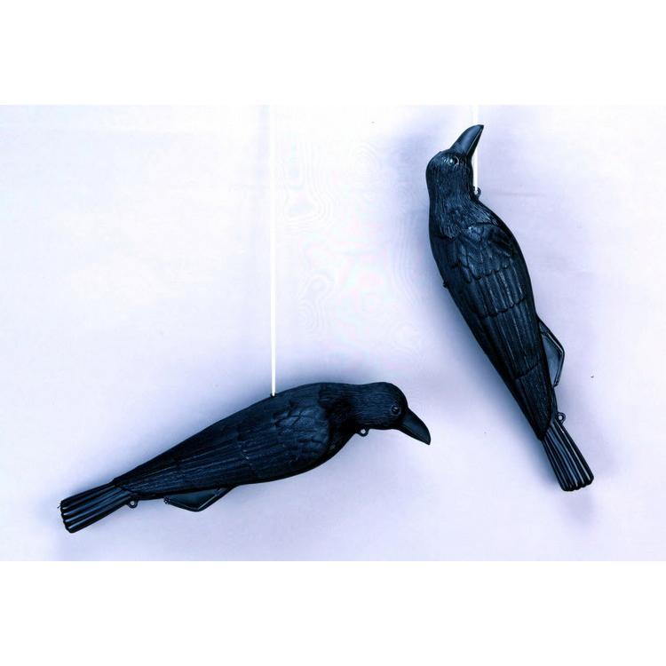 ミツギロン コワガラス ブラック EG-18 カラス 鳥 防鳥 撃退 鳩 ハト