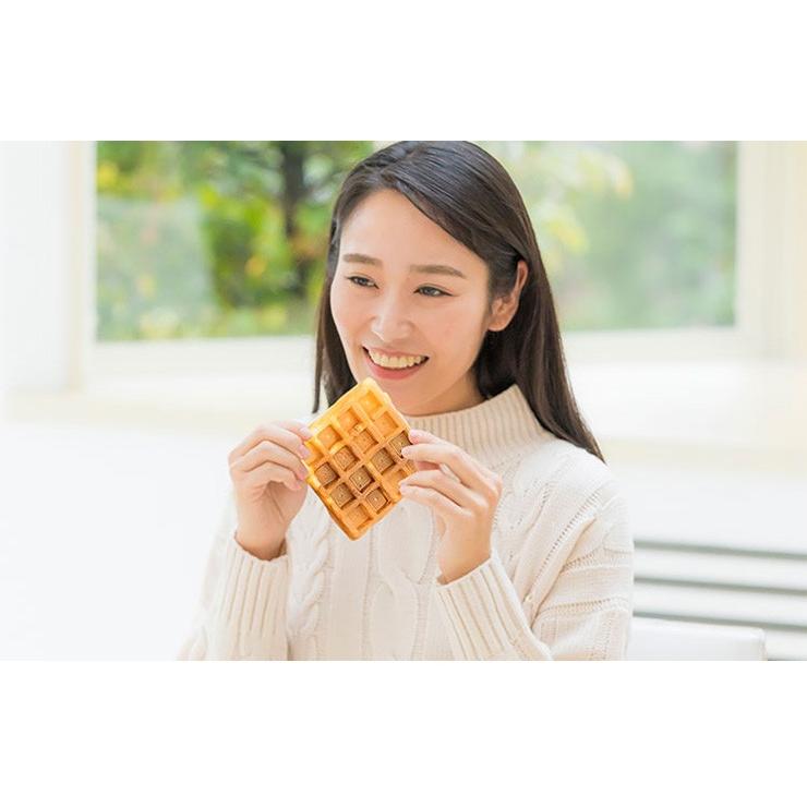 着脱式サンドメーカー2in1 KDHS-004W ホットサンド ワッフル 家庭用 両面焼き 食パン 2枚焼き サンドイッチ お菓子作り :pz-kdhs -004w:リコメン堂 - 通販 - Yahoo!ショッピング 着脱式サンドメーカー2in1 KDHS-004W ホットサンド ワッフル 家庭用 両面焼き 食パン 2枚焼き サンドイッチ お菓子作り :pz-kdhs -004w:リコメン堂 - 通販 - Yahoo!ショッピング