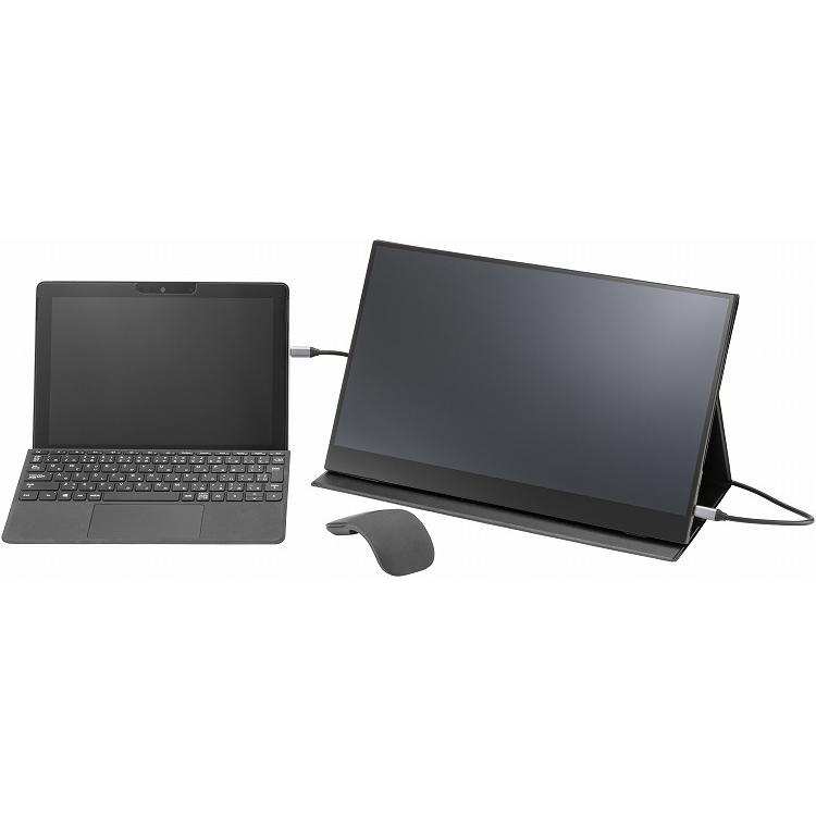 プリンストン 15.6型フルHDタッチ機能付きモバイルディスプレイ PTF