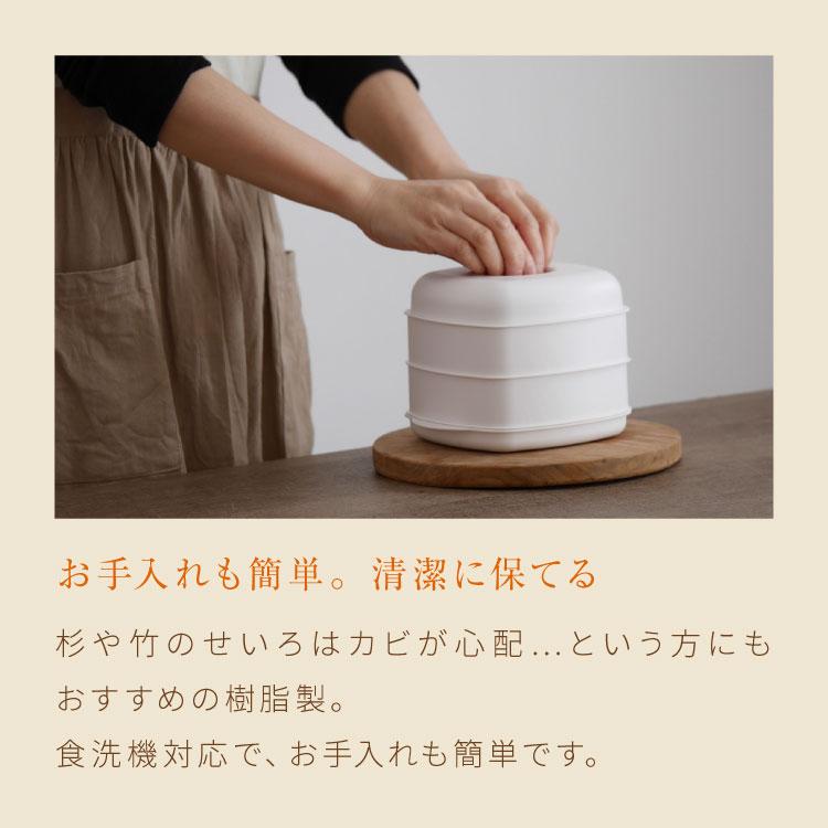 日本製 レンジで簡単 せいろ2段セット 2品同時調理 蒸し器 電子レンジ