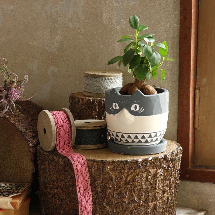 アニマルプランター キャットa Ccgf1070a 北欧 動物 かわいい 鉢 ポット 植木鉢 ガーデニング 園芸 雑貨 観葉植物用 フェイクグリーン用 おしゃれ 代引不可 S4 Ccgf1070a リコメン堂 通販 Yahoo ショッピング