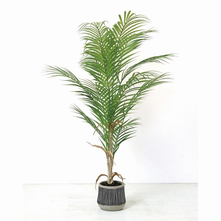 ポリエチレ フェイクグリーン リコメン堂 通販 Paypayモール アレカヤシ Dagk2110 代引不可 セラミック