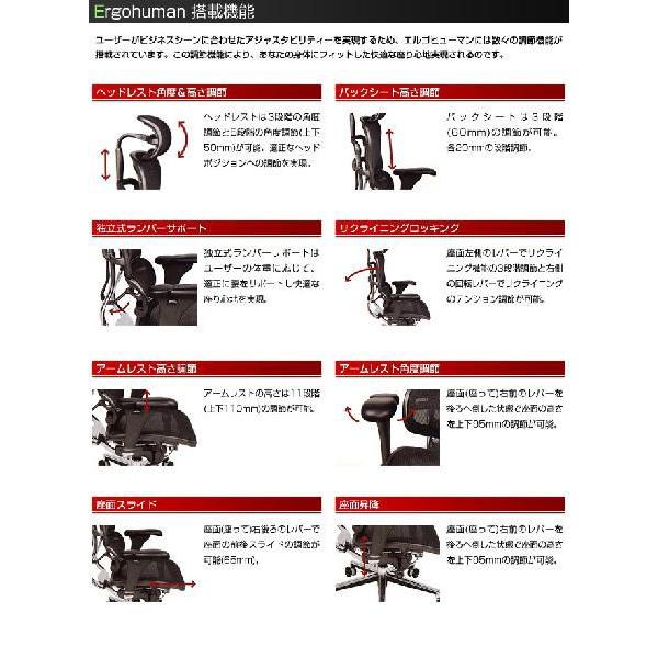エルゴヒューマン プラス ハイバック Ergohuman Plus EHP-HAM 新型