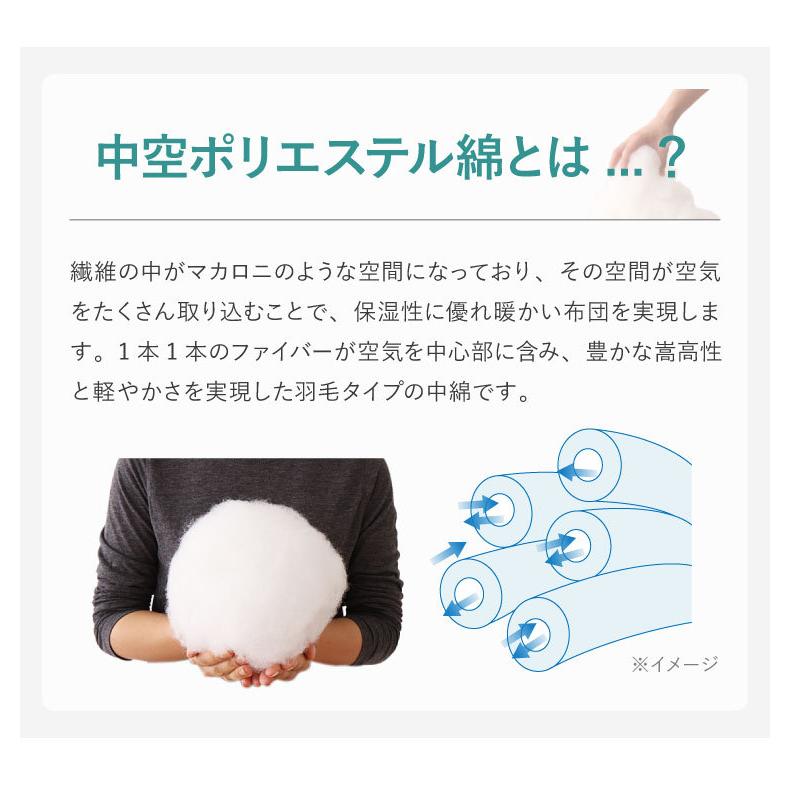 TEIJIN（テイジン） 掛け布団 日本製 シングル 単品 抗菌 防臭 防ダニ