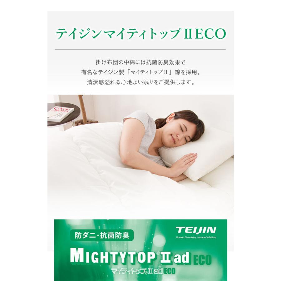TEIJIN（テイジン） 掛け布団 日本製 シングル 単品 抗菌 防臭 防ダニ