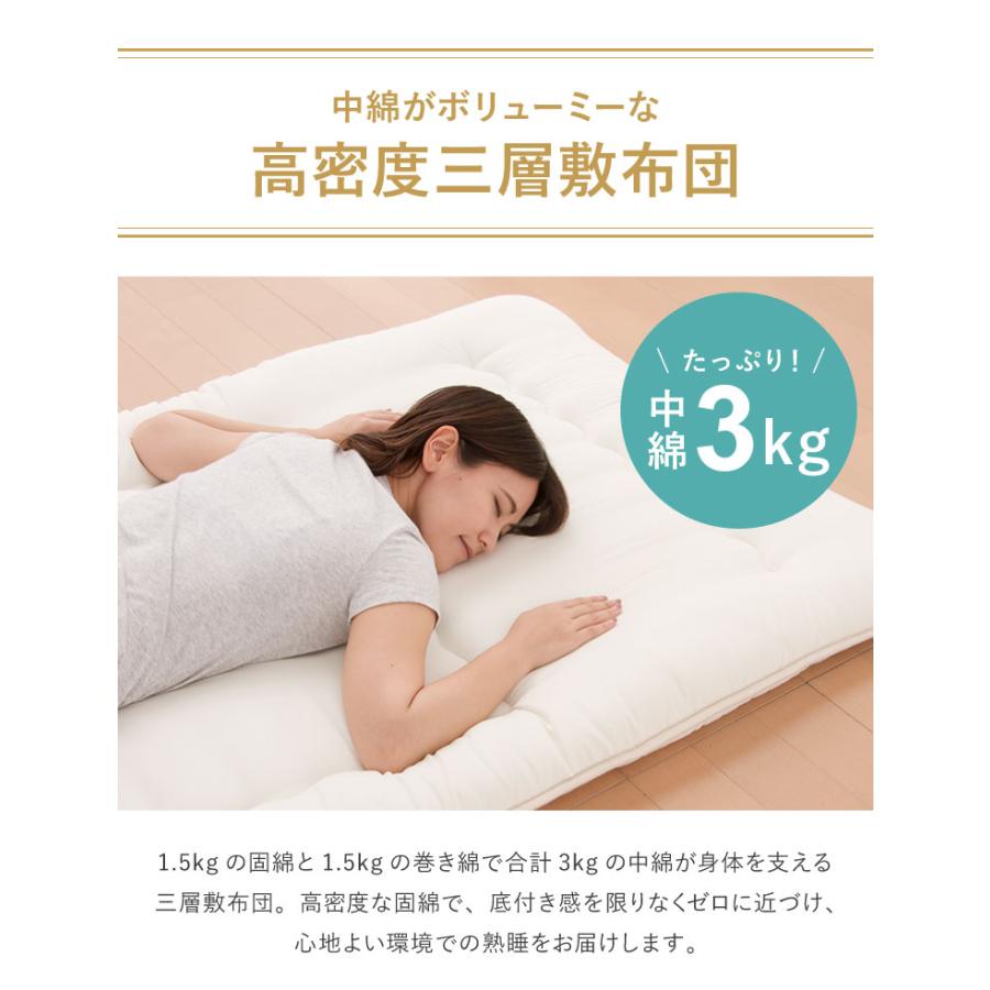 TEIJIN（テイジン） 国産 布団セット シングル 3点セット 抗菌防臭 防