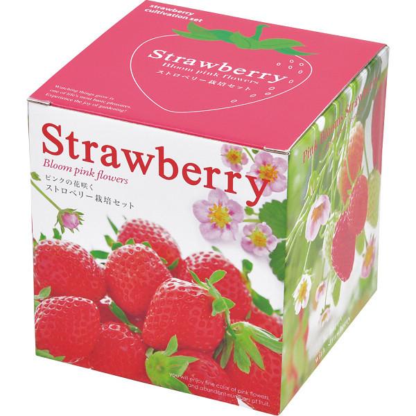 リコメン堂ピンクの花咲くストロベリー栽培セット Gd 796 代引不可 送料無料でお届けします