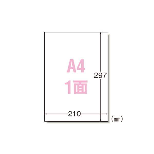 エーワン ラベルシール〈プリンタ兼用〉 マット紙 ノーカットタイプ 31151 1000枚 代引不可