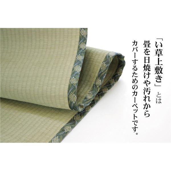 純国産 減農薬栽培 い草 上敷き カーペット 糸引織 『西陣』 三六間8畳（約364×364cm） 熊本県八代産イ草使用 代引不可_2