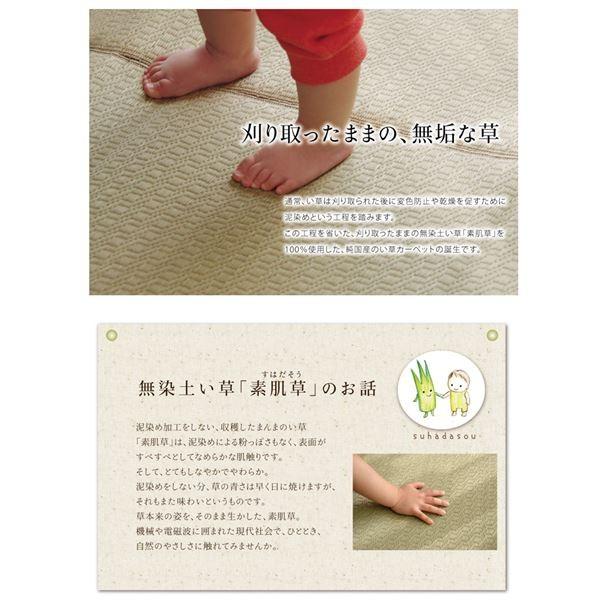 純国産 い草ラグカーペット 『F）MUKU』 約140×200cm（デニム） 代引不可_2