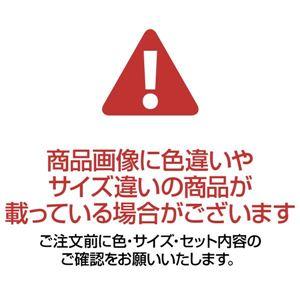 ボリュームたっぷり軽くて暖かい5層構造毛布セット 〔シングル 3色組 グリーン・ネイビー・ワイン〕 洗える 厚手 発熱 吸湿 代引不可｜recommendo｜05