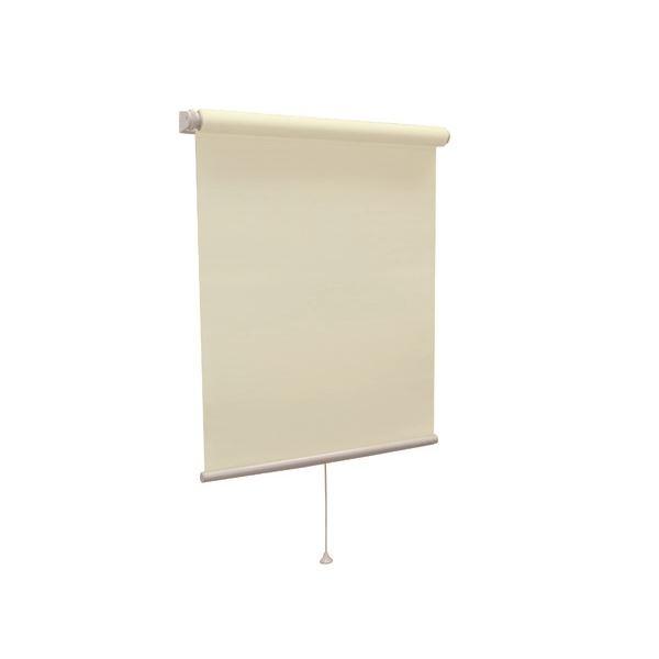 モダン ロールスクリーン 〔無地防炎 60cm×135cm ペールグリーン〕 日本製 巻取りスピード調整機能付き 『ティオリオ』 代引不可