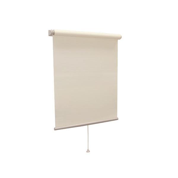 モダン ロールスクリーン 〔無地防炎 60cm×135cm ココ〕 日本製 巻取りスピード調整機能付き 『ティオリオ』 代引不可